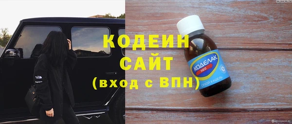 индика Вязьма