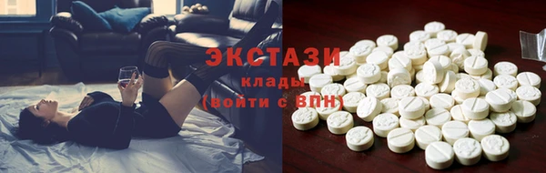 индика Вязьма