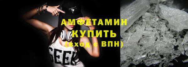 индика Вязьма