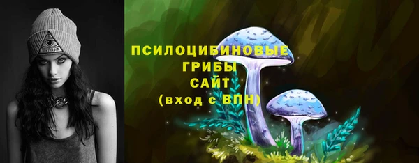 винт Вяземский