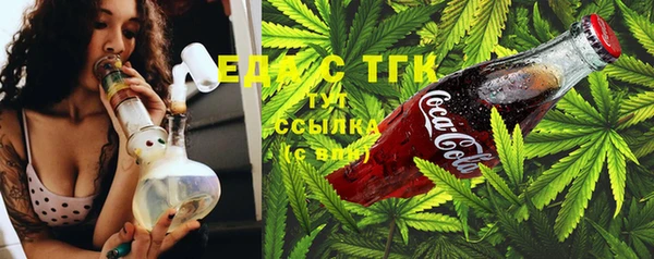 индика Вязьма