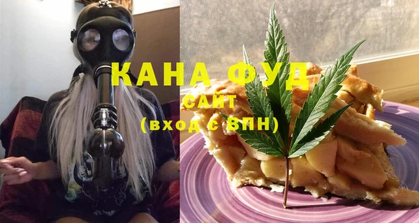 индика Вязьма