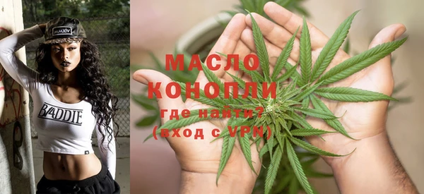 индика Вязьма