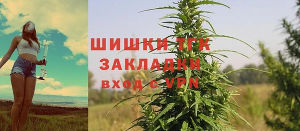 индика Вязьма