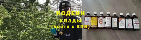 индика Вязьма