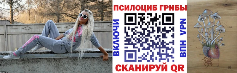 darknet формула  MEGA tor  Емва  Псилоцибиновые грибы GOLDEN TEACHER 